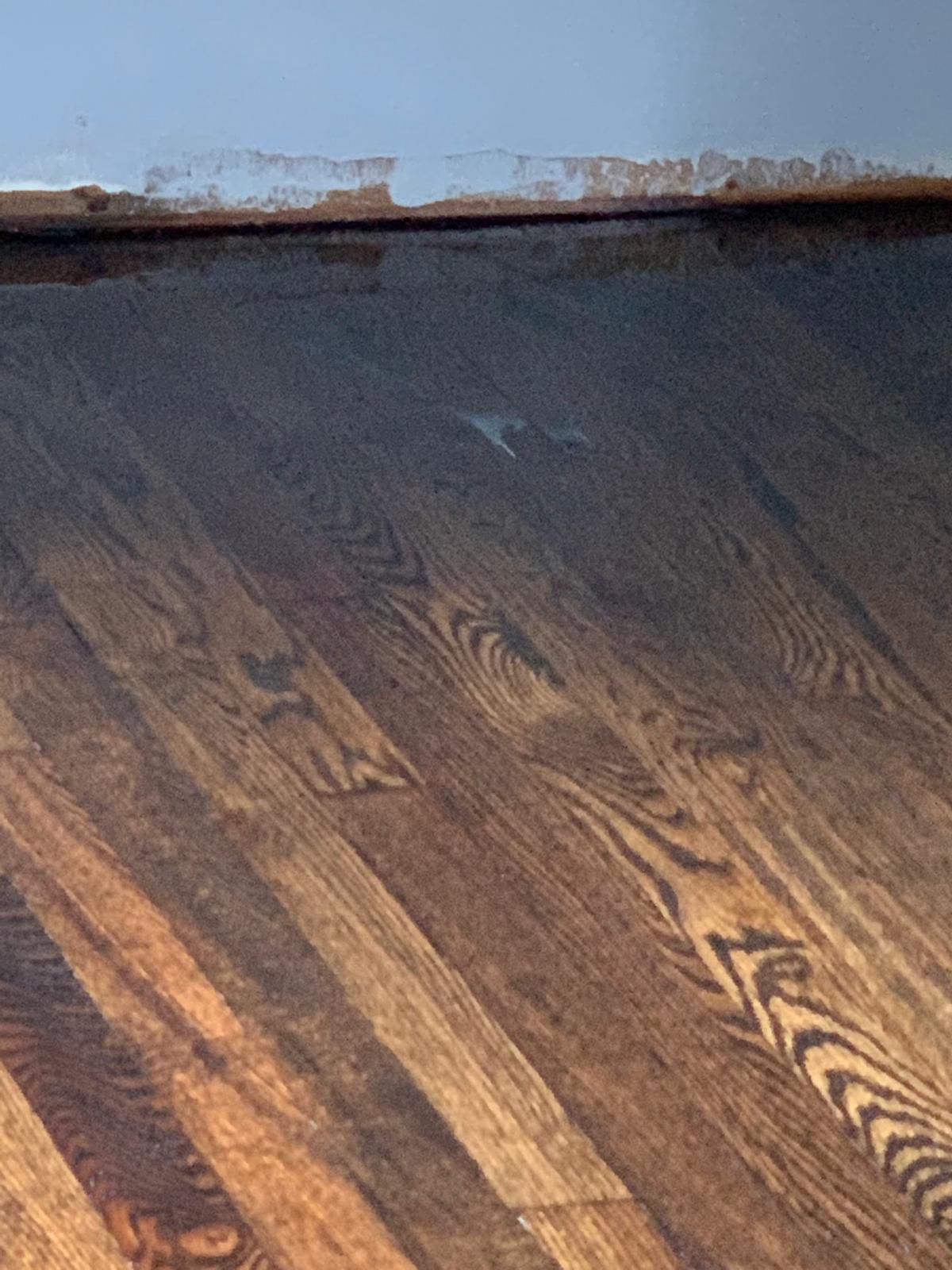 Proyecto de remodelación 49